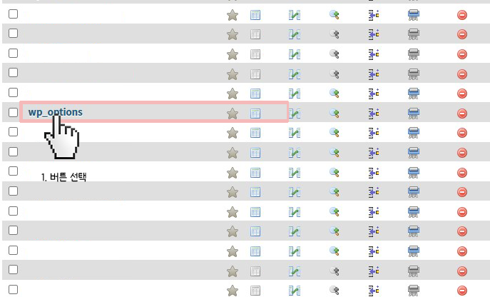 wp_options 테이블